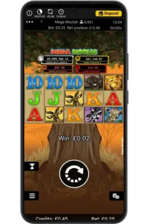 Make a bet and start play