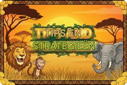 Tips en strategieen Mega Moolah